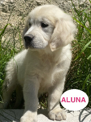 ALUNA