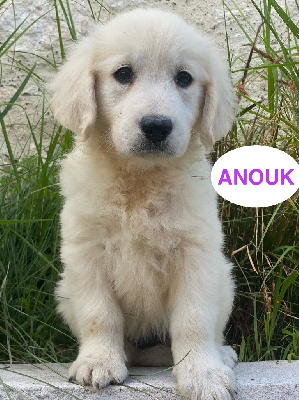ANOUK